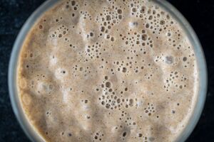 Renaissance BioScience secures Genome BC grant to build wild yeast discovery platform