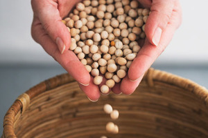 Replacing methylcellulose is now possible in meat alternative applications