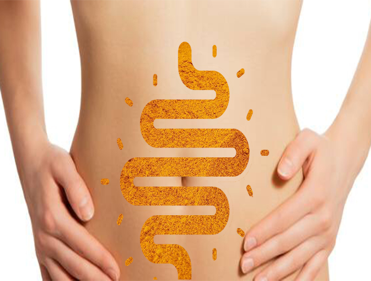 Research published on DolCas Biotech’s curcumin extract
