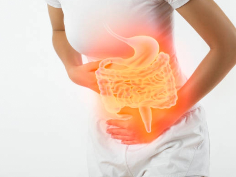 Research reveals appetite-controlling gut hormone