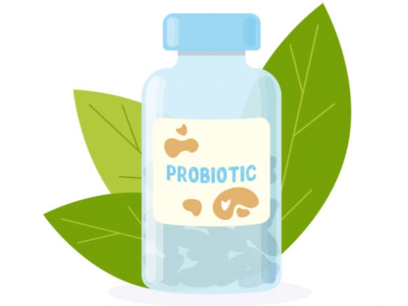 Research reveals key finding in development of future probiotic treatment