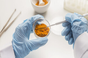 Research suggests OmniActive curcumin is highly bioavailable