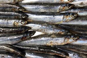Research supports that the omega-3 sector is prime for an alternative delivery system 