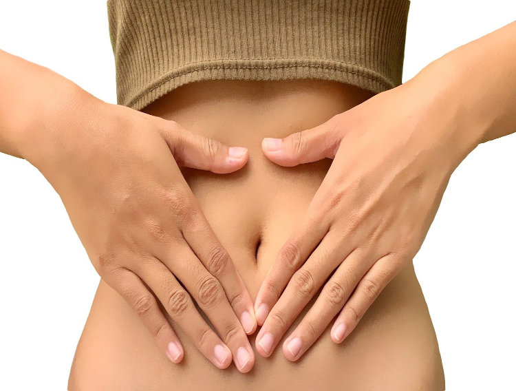 Researchers engineer yeast probiotic for inflammatory bowel disease