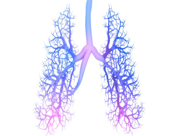 Review evaluates fucoidan’s potential to mitigate lung damage