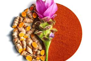 Robertet introduces curcumin ingredient with high bioavailability 