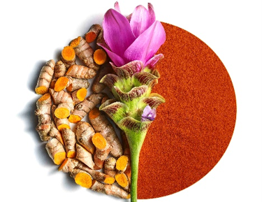 Robertet introduces curcumin ingredient with high bioavailability 