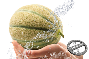 Robertet introduces Holimel to protect against UV damage