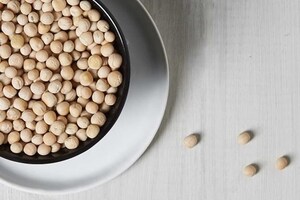 Roquette and Beyond Meat scale up pea protein supply agreement