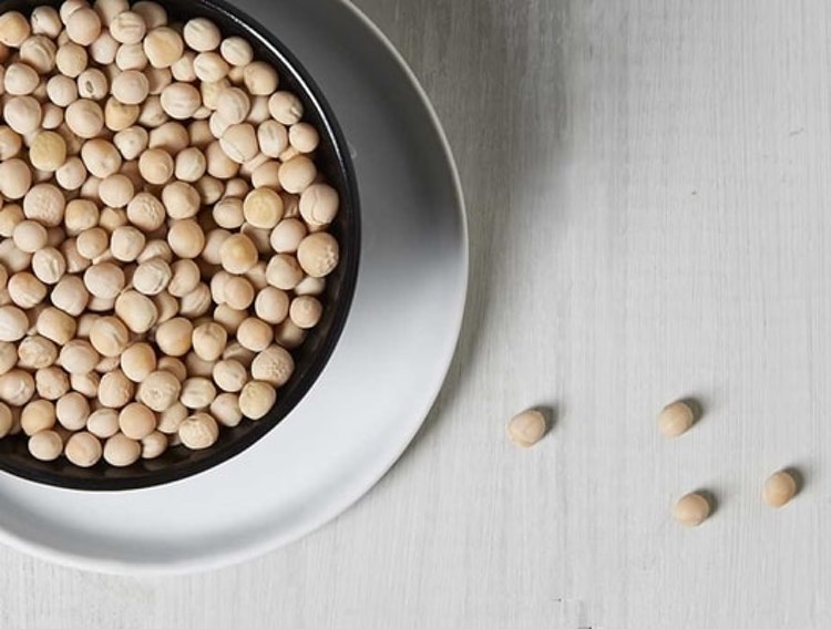 Roquette and Beyond Meat scale up pea protein supply agreement