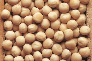 Roquette to build the largest pea protein processing facility to date 