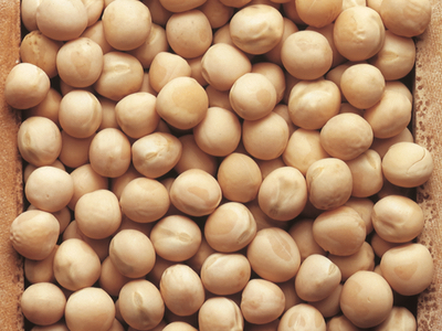 Roquette to build the largest pea protein processing facility to date 