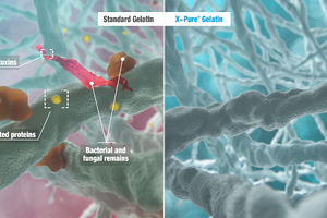 Rousselot Biomedical to present a new study on X-Pure at CPhI Worldwide