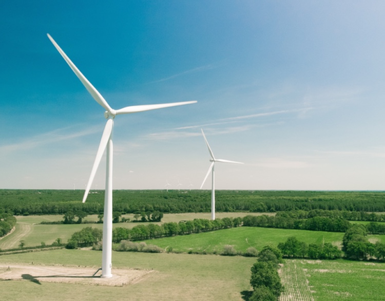 Royal DSM pledges to get all energy from renewable sources by 2030