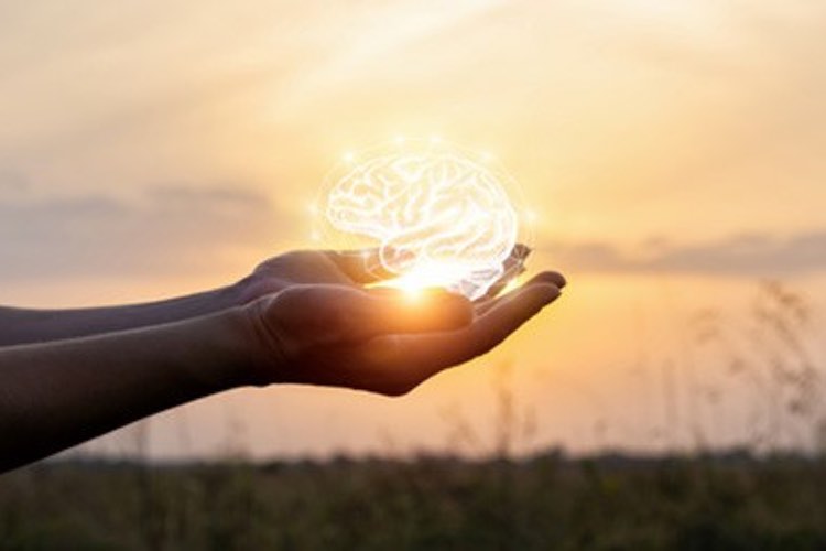 Royal DSM wins distribution rights to SLS nutraceutical products