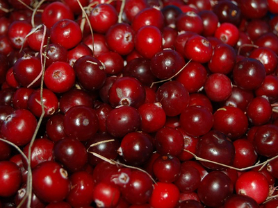 Sabinsa launches LactoCran with Fruit d'Or Nutraceuticals in the UK
