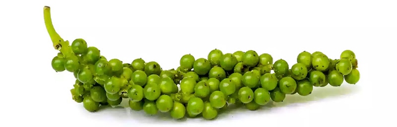 Sabinsa presents safe and clinically studied black pepper extract