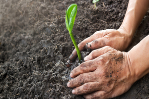 Sabinsa providing glyphosate test results with ingredients