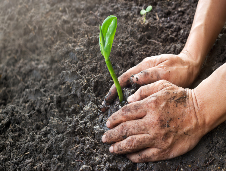Sabinsa providing glyphosate test results with ingredients