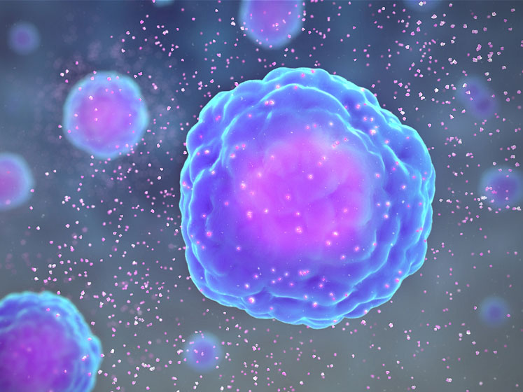 Sabinsa’s Curcumin C3 Complex with BioPerine shown to improve cytokine levels 