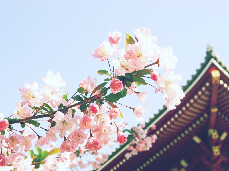 Sabinsa to exhibit at Health ingredients (Hi) Japan 2022