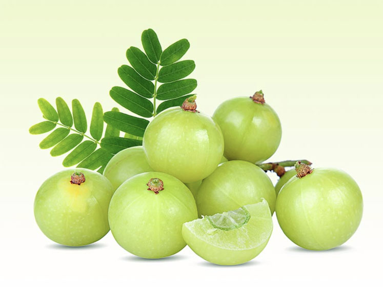Sabinsa warns industry against mischaracterised amla extracts 
