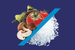 Salt of the Earth appoints an exclusive distributor for the US