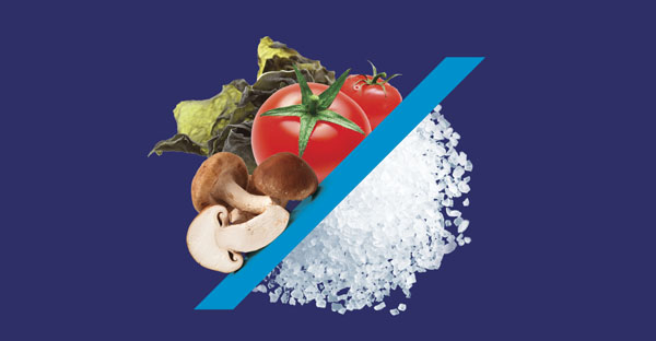 Salt of the Earth appoints an exclusive distributor for the US