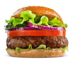 Salt of the Earth reports increase in sales of sodium reduction solutions
