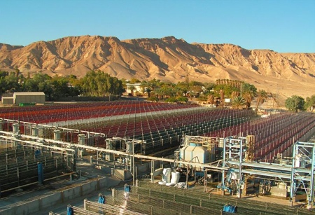 Schott and Algatechnologies to develop new method to boost algae production