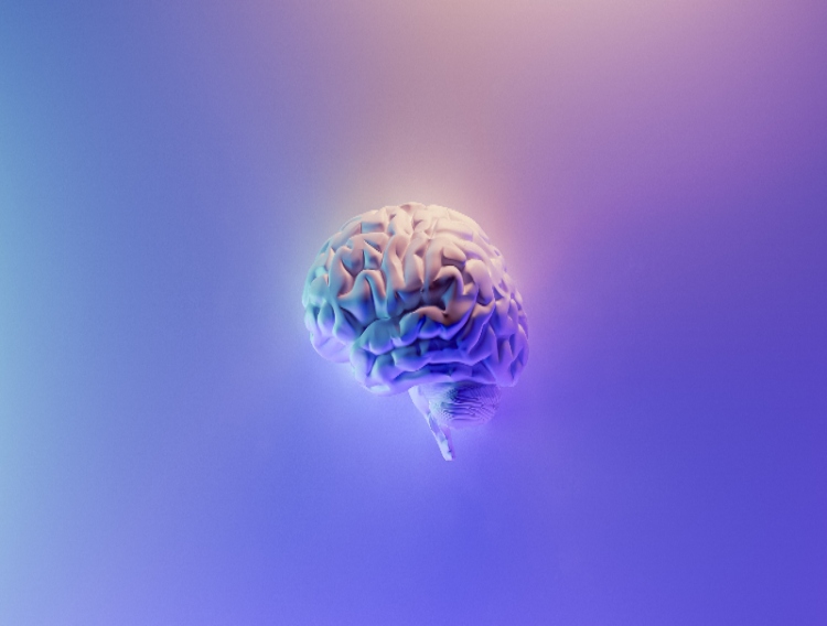 Scientific evidence reveals how Menaquinone-7 affects memory
