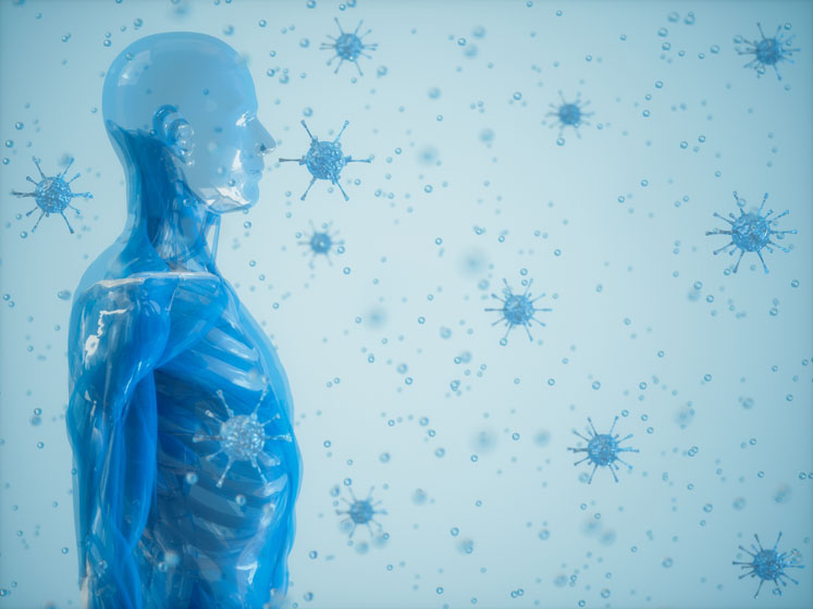 Scientific review highlights beta glucans’ immune health benefits