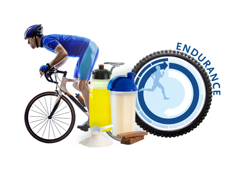 Scientific study shows improved fat oxidation and better performance in athletes when using BENEO’s Palatinose
