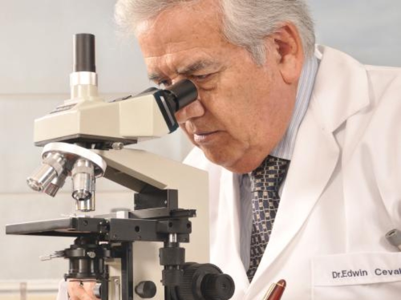Scientist launches natural immunomodulator made from Dulcamara root