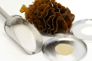 Seaweed extract reveals anticancer pathways