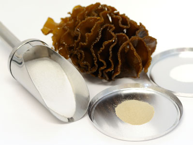 Seaweed extract reveals anticancer pathways