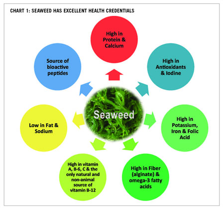 Seaweed: the next big opportunity in snacking