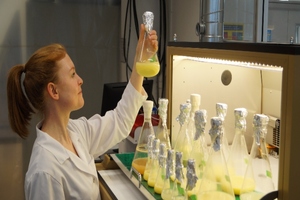 SEC’s microalgae project employs Stellar electric field technology