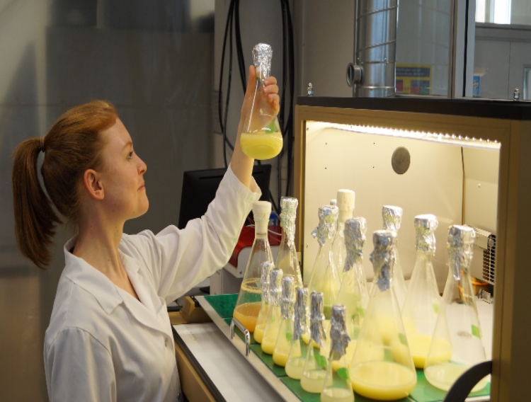 SEC’s microalgae project employs Stellar electric field technology