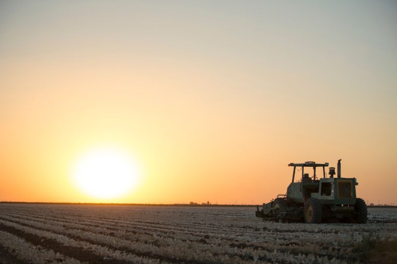Sensient Natural Ingredients rebrands as Sensient Agricultural Ingredients