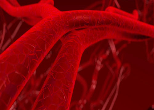 Serum vitamin D and risk of cardiovascular mortality