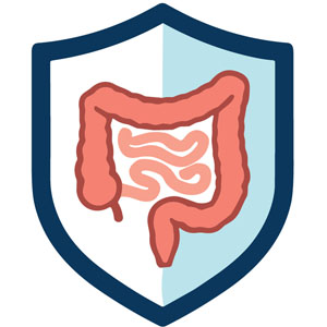 Shaping the future of gut health with prebiotics and microbiome-focused nutraceuticals