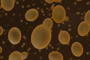 SkinBioTherapeutics chooses probiotic blends for acne study