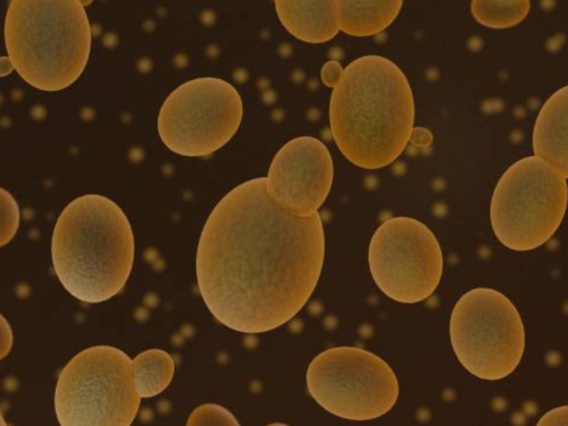 SkinBioTherapeutics chooses probiotic blends for acne study