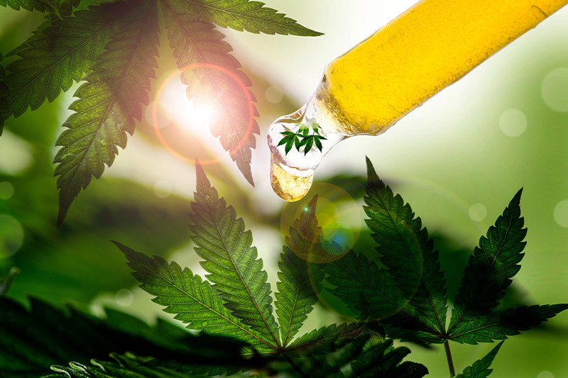 Sleep health week: researchers recruiting now for CBD insomnia trial