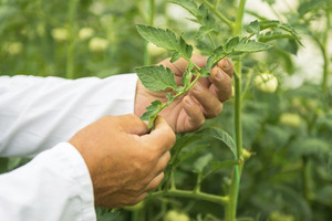 Sourcing and processing quality ingredients post-2020