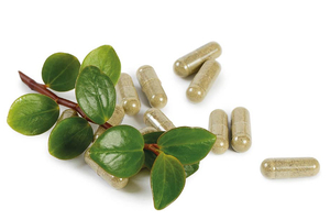 Spanish ingredient supplier explores the Japanese market