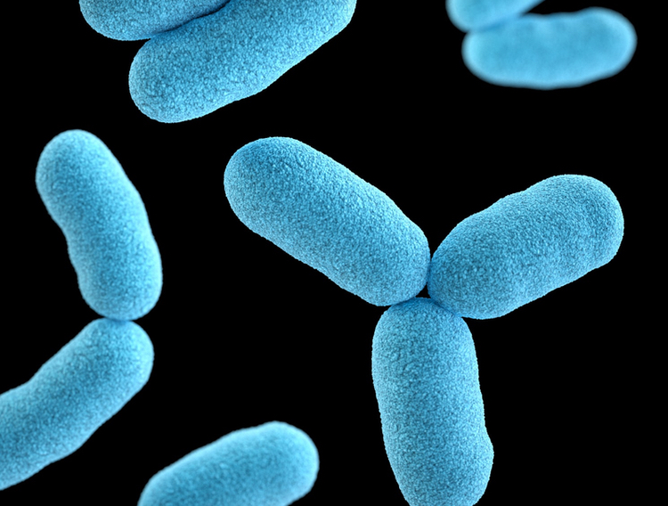 Specialty Enzymes & Probiotics get FDA feedback on GRAS