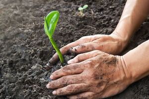 Specialty Enzymes & Probiotics receives non-GMO verification