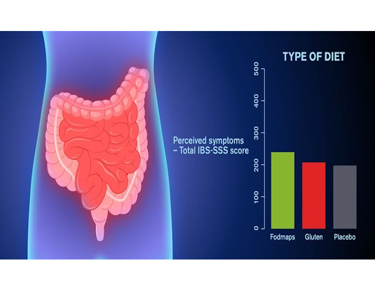 Specific diets less effective at preventing IBS, researchers say